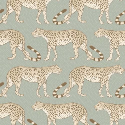 Leopard Walk 109-2009